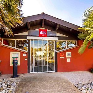 Ibis Montauban